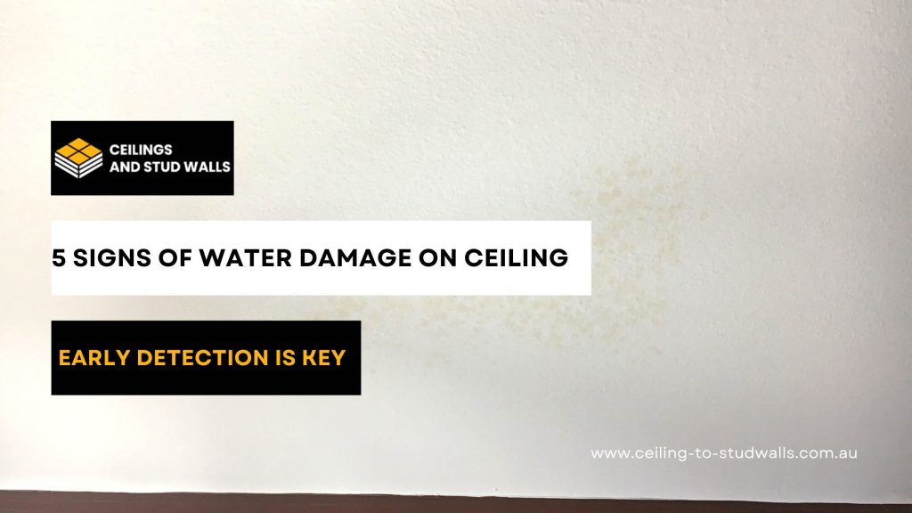Signs of Water Damage on Ceiling