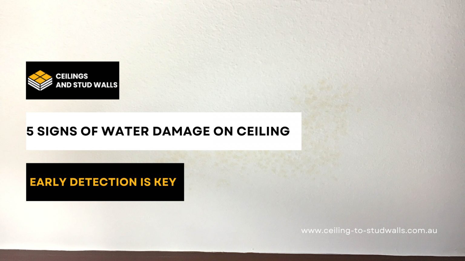 Signs Of Water Damage On Ceiling Ceilings And Stud Walls