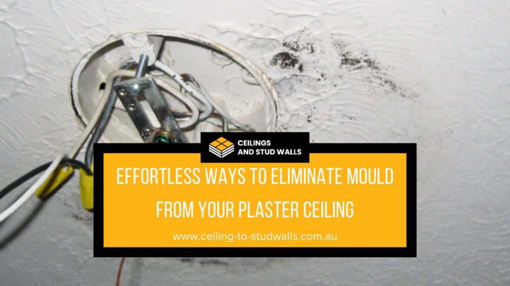 plaster ceiling moulds